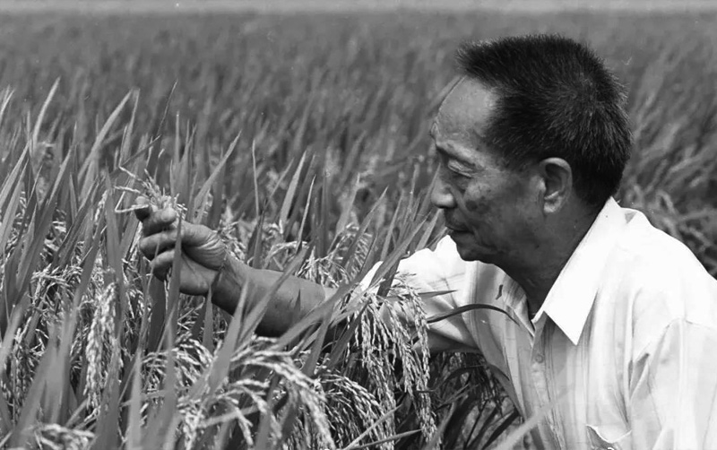 20210526/af3d5cb811c5a67074b7c4bbfc703e9e.jpg 002.jpg